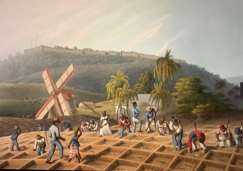 This image has an empty alt attribute; its file name is british-library-public-domain-1823-west-indies-sugar-plantation-william-clark-.jpg